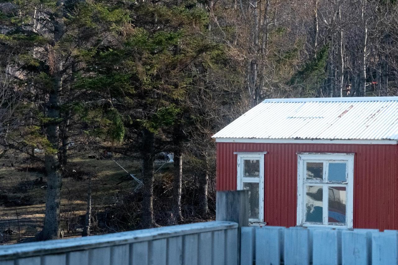 The Guesthouse By The Fjord Thingeyri Exterior photo