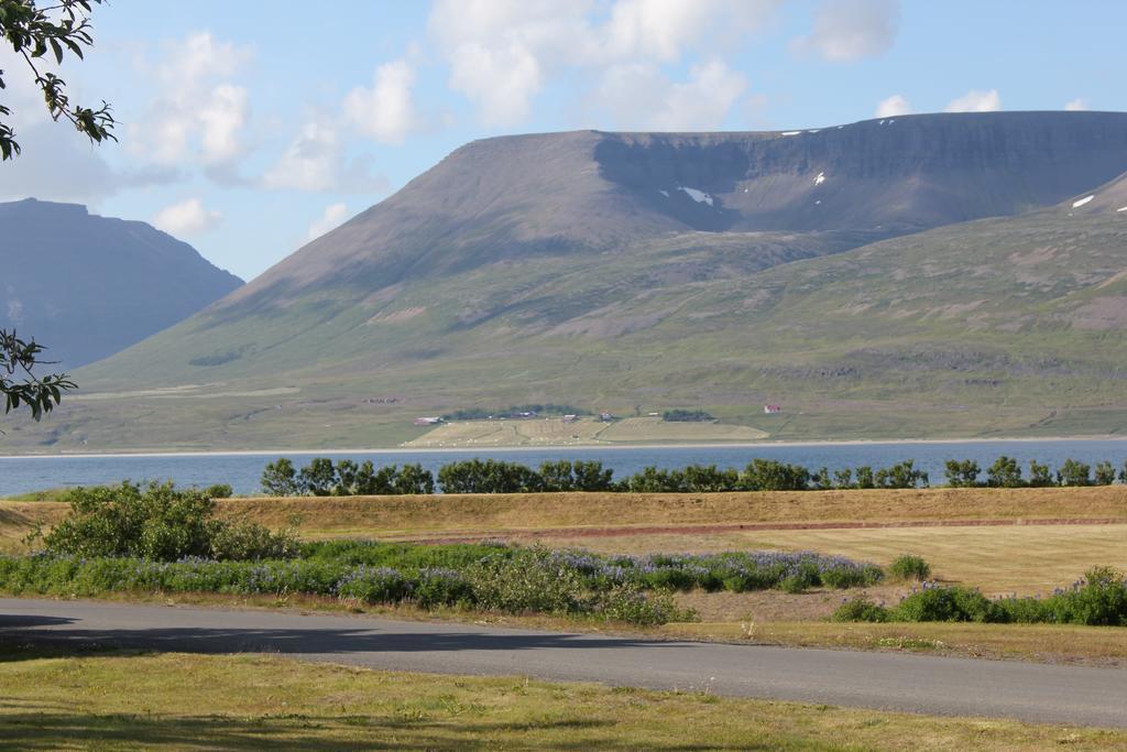 The Guesthouse By The Fjord Thingeyri Exterior photo